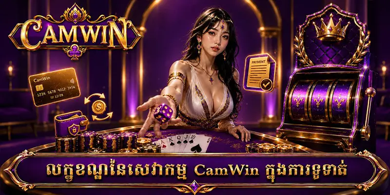 លក្ខខណ្ឌនៃសេវាកម្ម CamWin ក្នុងការទូទាត់